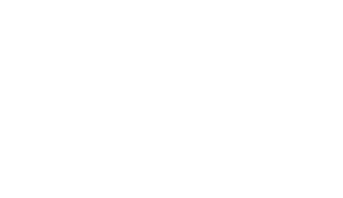 Logo Rochat - white-min